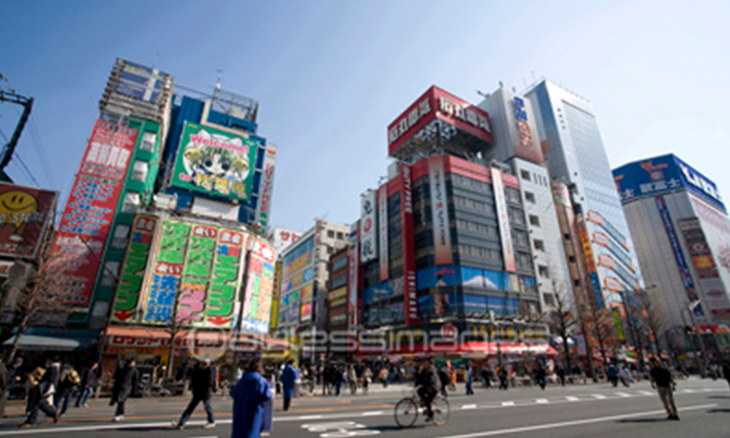 akiba