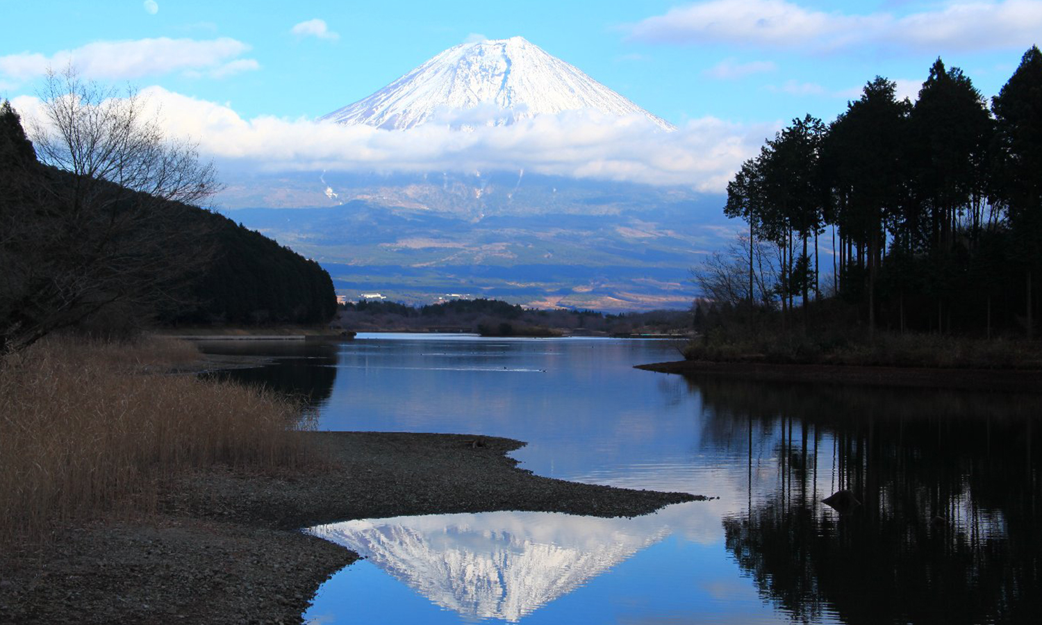 fuji