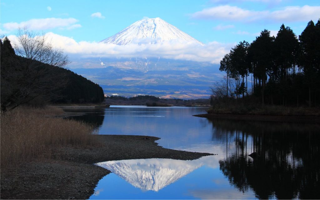 fuji